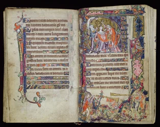 Ms 1-2005, ff.38v-39r: The Anointing of David, historikert D initial fra Macclesfield Psalter, Use of Sarum, East Anglia, ca. 1330