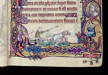 Ms 1-2005, ff.76v-77r: David og narren, historisk initial fra Macclesfield Psalter, Use of Sarum, East Anglia, ca. 1330 (vellum) (detalj av 276994)