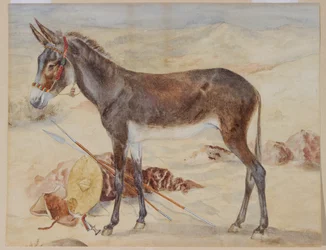 Mule (wc på papir)
