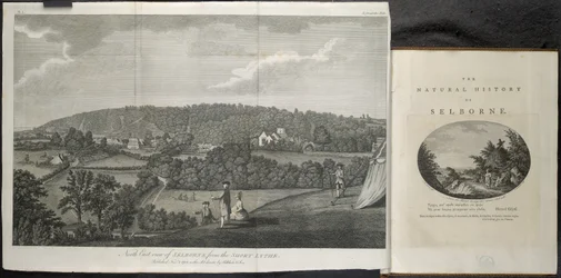 Nordøst utsikt over Selbourne