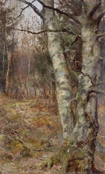 Gamle Warren, Bryanston