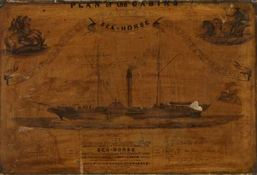 Panorama av lugarene på SS Sea-horse (gravering)