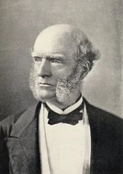 Portrett av Thomas Hughes (1822-96)