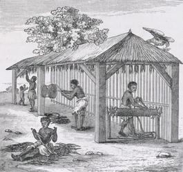 Preparing Tobacco, fra "Santo Domingo Past and Present" av Samuel Hazard, pub. 1873