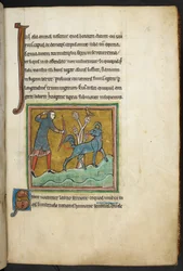 Kongelig 12 F.XIII, f.16   En jeger som skyter en pil mot et dyr.  Bestiary (ff. 3-141), Lapidary (ff. 141v-149)  2. kvartal av 1200-tallet