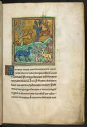 Kongelig 12 F.XIII, f.7   En leopard som jager en hjort, med en kamel og et annet dyr.  fra Bestiary (ff. 3-141), Lapidary (ff. 141v-149)  2. kvartal av 1200-tallet