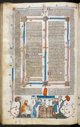 Royal MS 10 IV f.297v Bading av et pestoffer og marginaldekorasjon, illustrasjon fra 