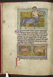Royal MS 12 C XIX, f.8v Centaur, fra 