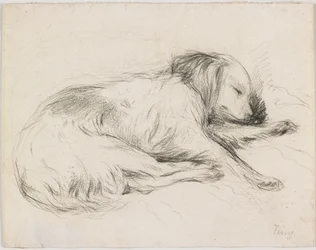 Sleeping Dog, ca. 1840 (grafitt på papir)