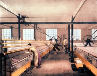Spinnemuldyr i bomullsfabrikk, ca. 1935 (trykk)