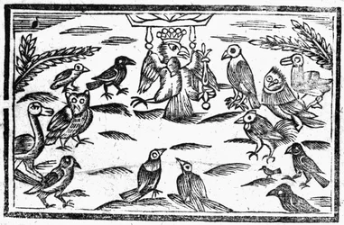 The Woody Choristers eller The Birds Harmony, en illustrasjon fra 