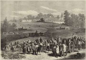 Årgangen i Medoc