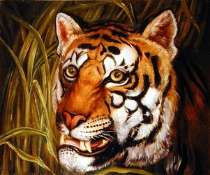 Tiger, tiger som brenner... (olje på lerret)