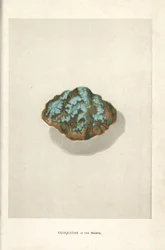 Turkis i matrisen, fra Edwin Streeters «Precious Stones and Gems», London, George Bell & Sons