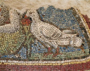 En due. Mosaikk fra skråningshusene i Efesos, Tyrkia