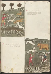 Helside: tekst og miniatyrer: «Carne le lepore» - hare- og revejakt: «Carne de orso» - bjørnejakt (miniatyr)
