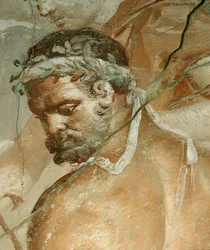 Herakles finner sønnen Telefos i Arkadia. Detalj: Herakles#39; hode.