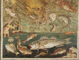 Marin fauna, fisk, Faunens hus, Pompeii