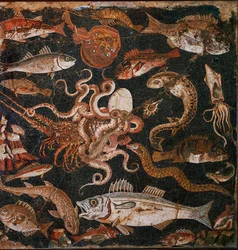 Ubåtfauna. Mosaikk fra Pompeii, Italia