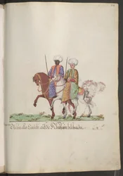 Sultanaens serail: evnukker til hest ...