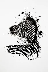 Wild Zebra – blekksprut