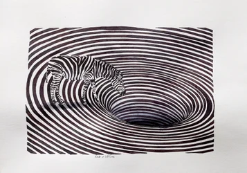 Zebra Vortex-illusjonen