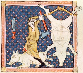 Fol.59v desember: Drepe griser (vellum)