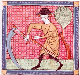 juni: en bonde som holder en sigd. Miniatyr hentet fra "Breviaire d'amour"" (Breviari d'Amor) av Ermengol de Beziers (Matfre Ermengau) (Ermengaud) (død 1322)