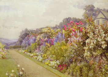 Delphinium-kanten, ved #39;Fellside#39;, Windermere