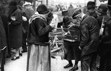 En gruppe kjøpere av kanarifugler, Paris, 1931.