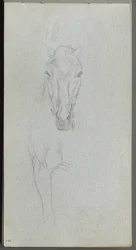 Skissebok, side 09: Studie av en hest.