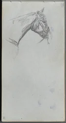 Skissebok, side 21: Studie av en hest