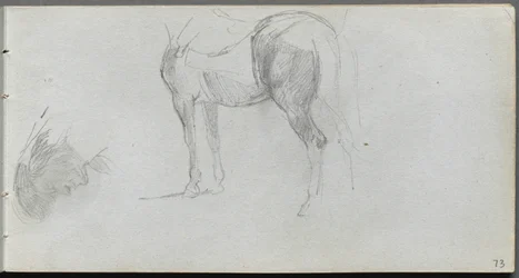 Skissebok, side 73: Studie av en hest, profil.