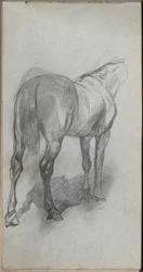 Skissebok, side 76: Studie av en hest.