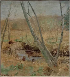 De øvre delene av Alster