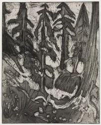 Fjellskog