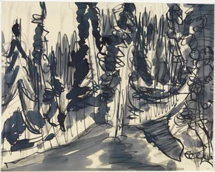 Granskog (studie av fjellskog)