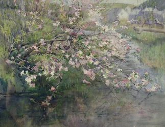 mai blomstre ved elven