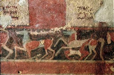 Hester og rytter. (Detalj av freskomaleri, 510 f.Kr.)
