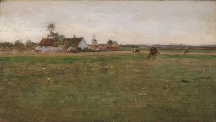kveldslandskap