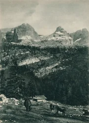 Utsikt over Brenta-gruppen med alpebeite, Madonna di Campiglio, Dolomittene, Italia, 1927