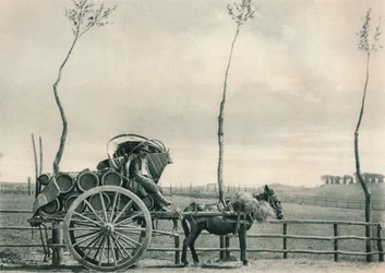 Vinbærer i Campagna, Roma, Italia, 1927