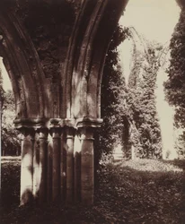 Dammarie-les-Lys, ruiner, 1910 (bilde)