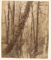 Bièvre, Boulevard d