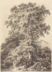 Bøkelund