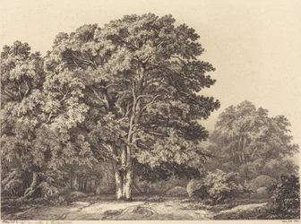 Inngang til en skog, 1840.