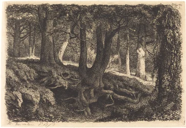 Tre med røtter, utgitt 1849.
