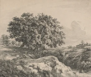 Le chêne au ravin Oak Tree by a Ravine, 1845.    1181880   no       norwegian Successfully Translated  Original: Design for a Dish with Portraits of the Roman Emperors Caesar, Claudius, and Otho, ca...., ca. 1588. Translat: Design for a Dish with Portraits