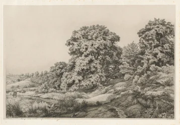 Eiker nær en dam