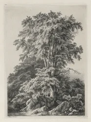 Studier tegnet og gravert etter naturen: Stranden, Fontainbleau..., 1840.